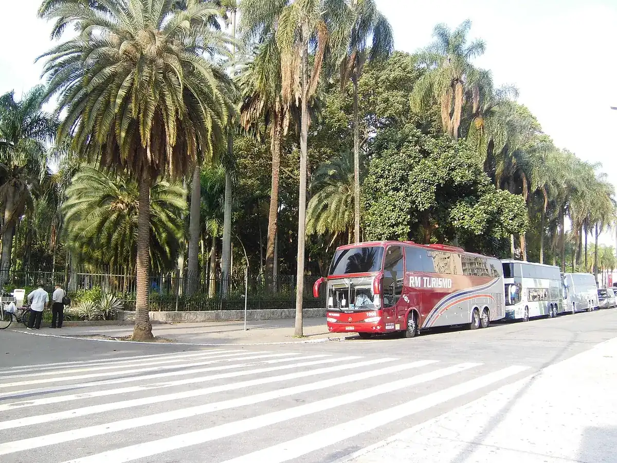 Ônibus de turismo estacionados em avenida com palmeiras
